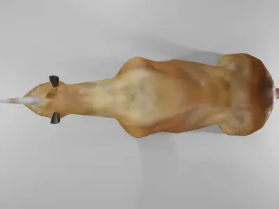 Elasmotherium unicorns are real Low-poly 3D model