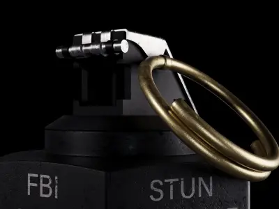 Stun Granade FBI 3D model