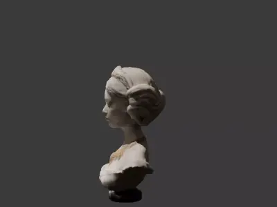 Roman Lady Face 3D Printed Statue 3D print model