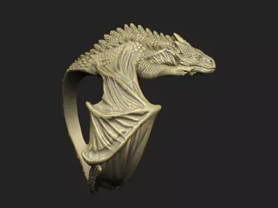 Dragons ring designs power authorities monster killer skull  3D print model