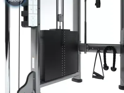 Life Fitness Signature Series Dual Adjustable Pulley 3D model