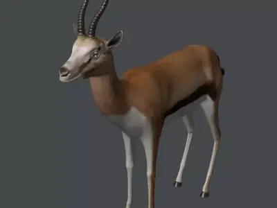 Gazelle antelope with long horns 3D model