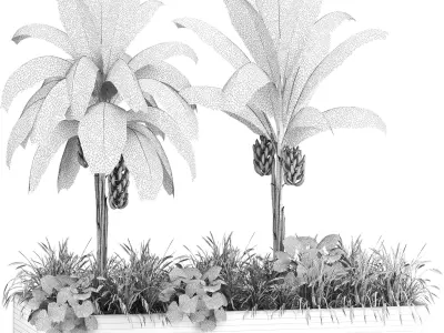 Box Banana Plant01 3D model