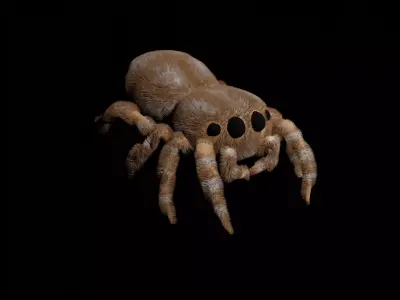 Jumping spider Free low-poly 3D model