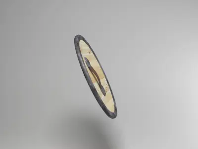Simple Wooden Shield 3D model