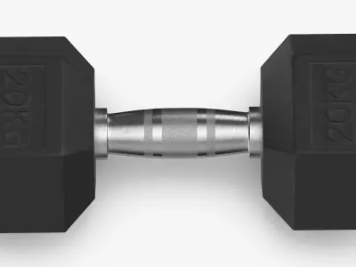 Rubber Dumbbell 20kg 3D model