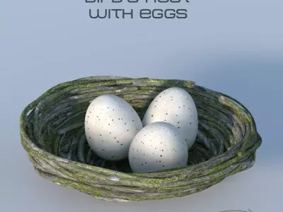 Bird Nest 3D model purchase