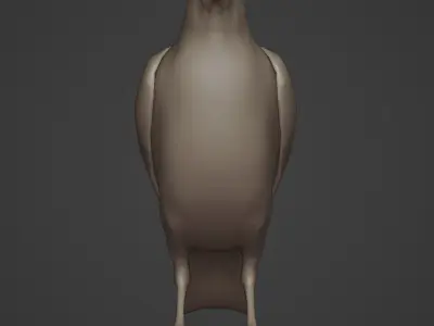 Standing crow 3D model