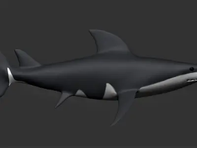 Bull Shark Low-poly 3D model