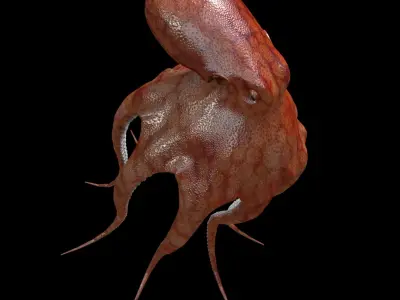  Octopus 