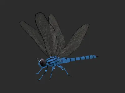 Dragonfly Low-poly 3D model