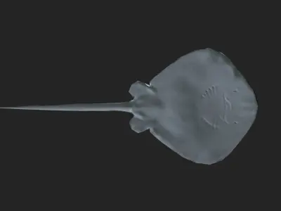 Stingray 3d low poly model Low-poly 3D model