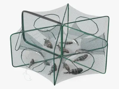 Automatic Pop-Up Fishing Trap and Captured Fish 3D model