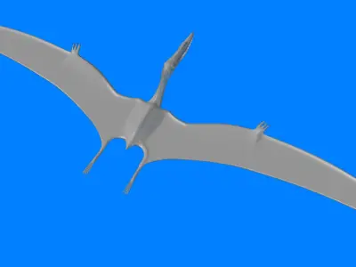Gnathosaurus dinosaur flying 3D model