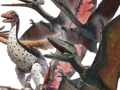 Dinopack Flying Static 3D model