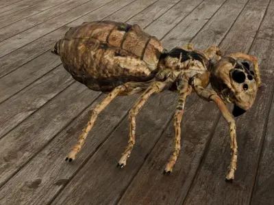 Spider Low-poly 3D model shop