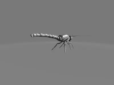Meganeuropsis fly 3D model