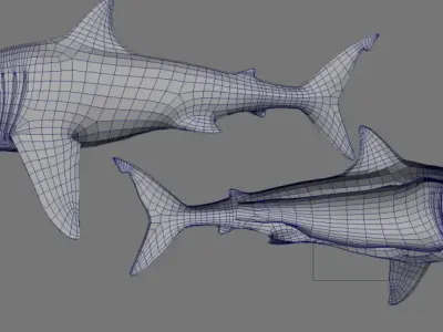 Great White Shark Low-poly 3D model buy