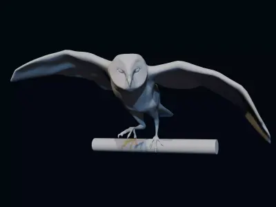 Barn Owl Free 3D model
