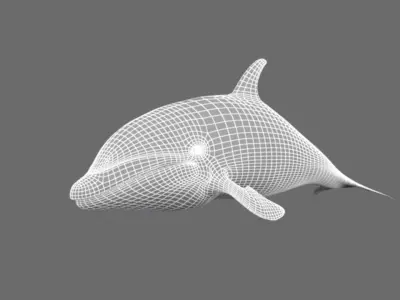 Dolphin 3D model buy