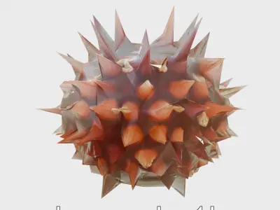 Venomous Fire Urchin with Spines Low-poly 3D model