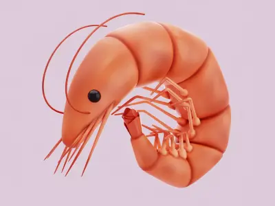 Shrimp  3D model