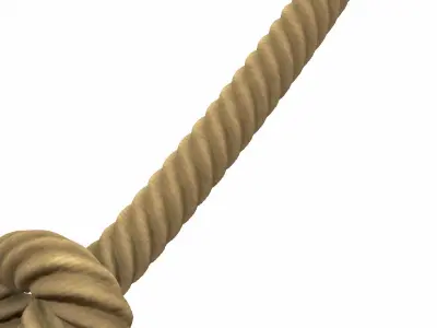 Rope Knot 3D model purchase