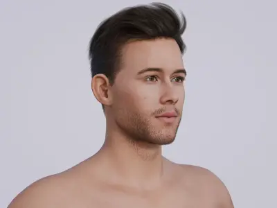 Nick Jonas - American Singer - Classic Side Part Hair Low-poly 3D model