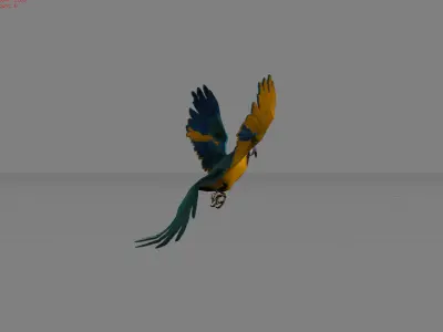Parrot Blue Bird Animal Low-poly 3D model