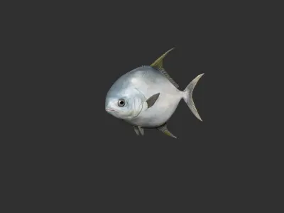 snubnose pompano Fish Low-poly 3D model