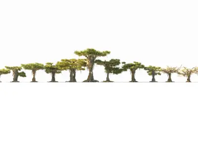 Dragon Tree Pack HD 3D model