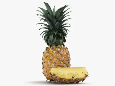 Pineapple Fruit 3D model