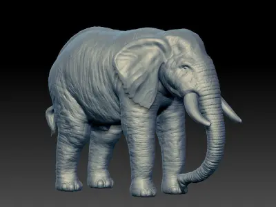 Realistic Elephant 3D model on platform 3D model