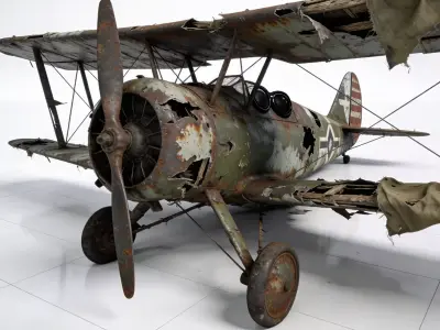 Realistic Wrecked Biplane 3D Model Low-poly 3D model