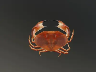 Crab 3D Low-poly 3D model