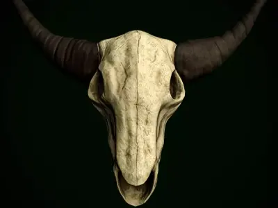 Bull Skull Low-poly 3D model