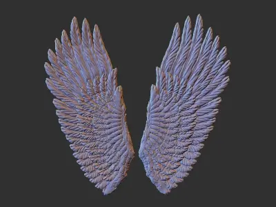 wing douple sided carved 3D print model