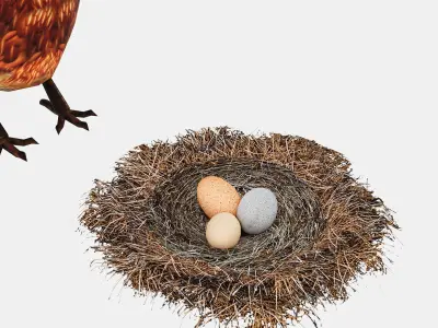 Chicken With Nest Low-poly 3D model