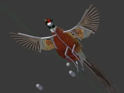 Pheasant 3D model buy