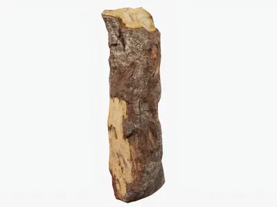 Scanned Tree Wood 01 3D model