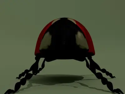 LowPoly Ladybug Low-poly 3D model