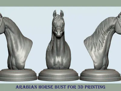 Arabian horse bust Free 3D print model