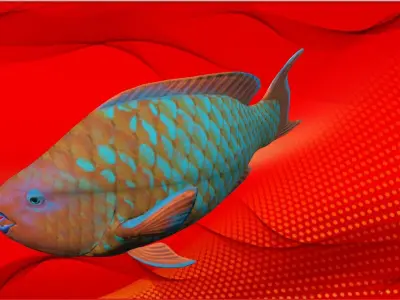 Fish Animation 3d Model Low-poly 3D model purchase