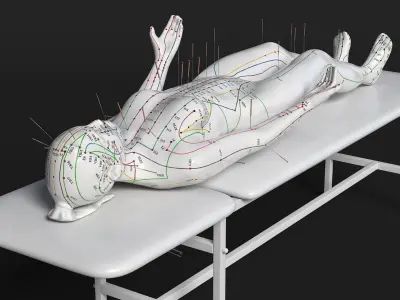 Female Acupuncture Mannequin on the Couch 3D model