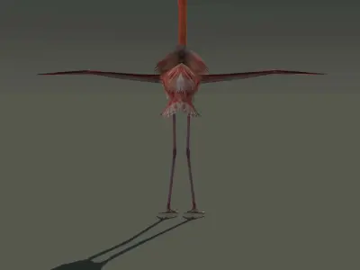 Flamingo Bird 3D Model 3D model