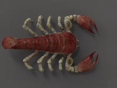 Scorpion Monster Low-poly 3D model