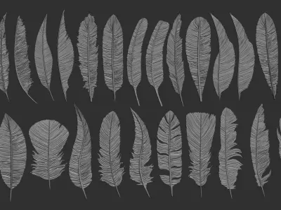 26  Feathers 3D model