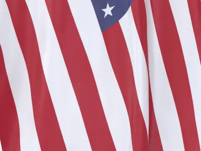  United States Cloth Flag Wall Mount Animated 