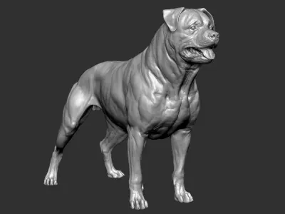 Rottweiler Dog VFX Zbrush Sculpt 3D model