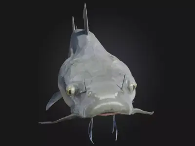 Catfish Calm Realistic Freshwater Fish Model 3D model